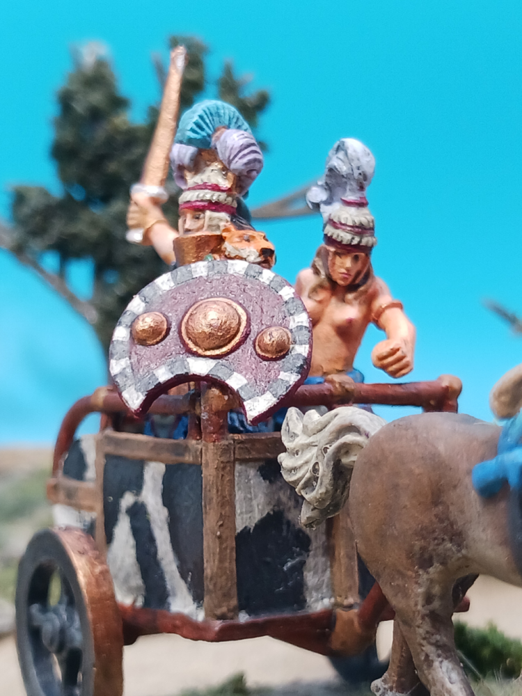 Amazon Chariot (Lucid Eye, 28mm))